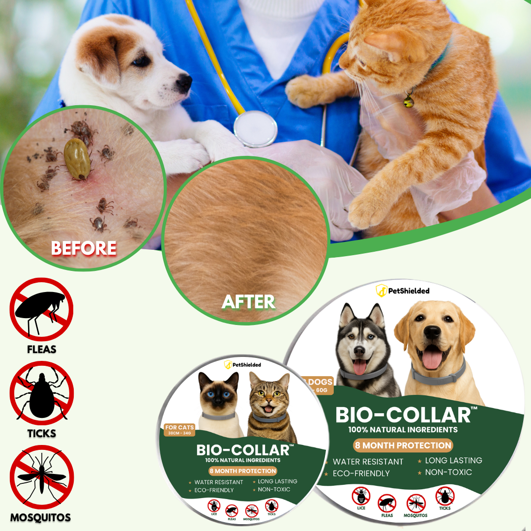 BIO-COLLAR⢠8+ Months Protection against Flea & Tick