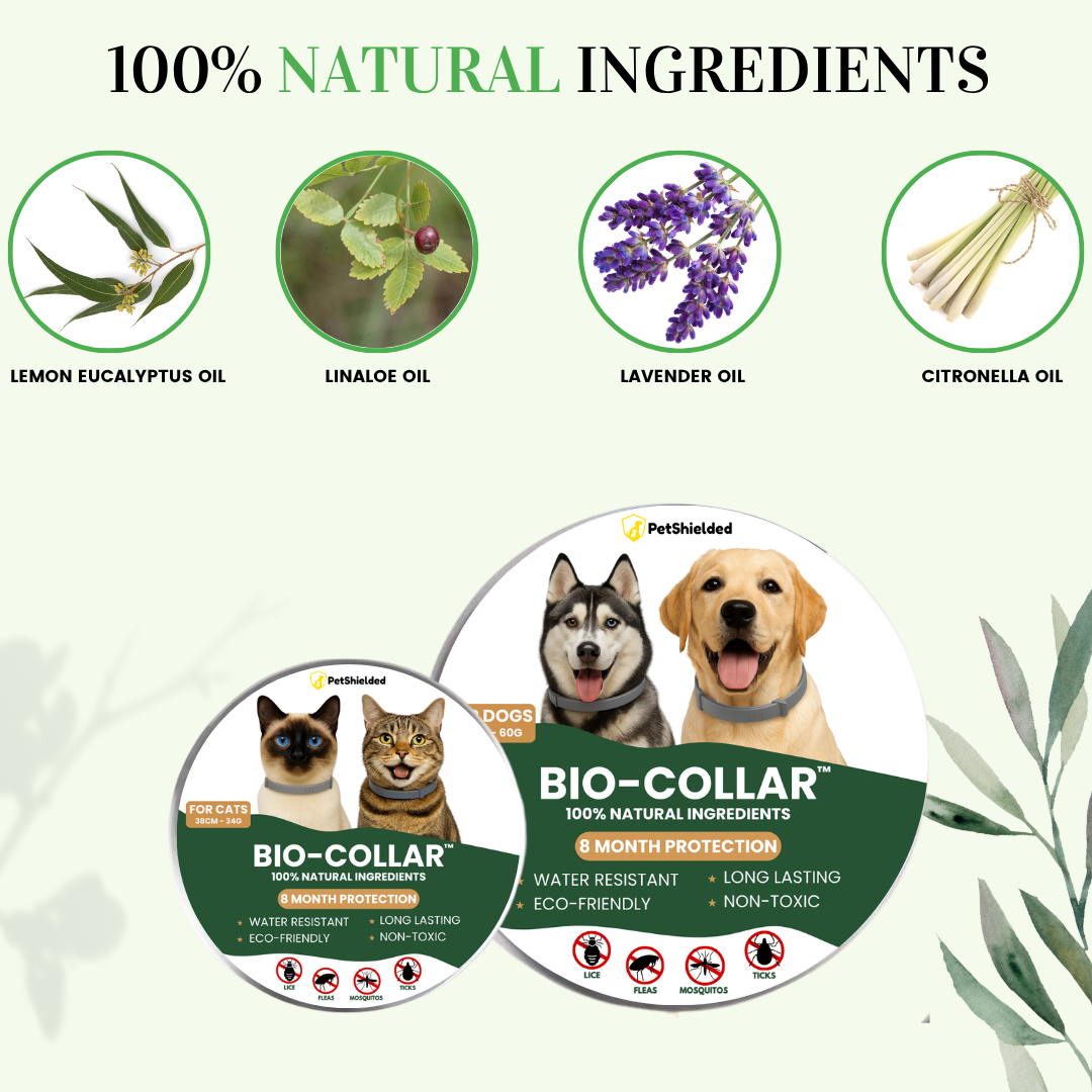 BIO-COLLAR⢠8+ Months Protection against Flea & Tick