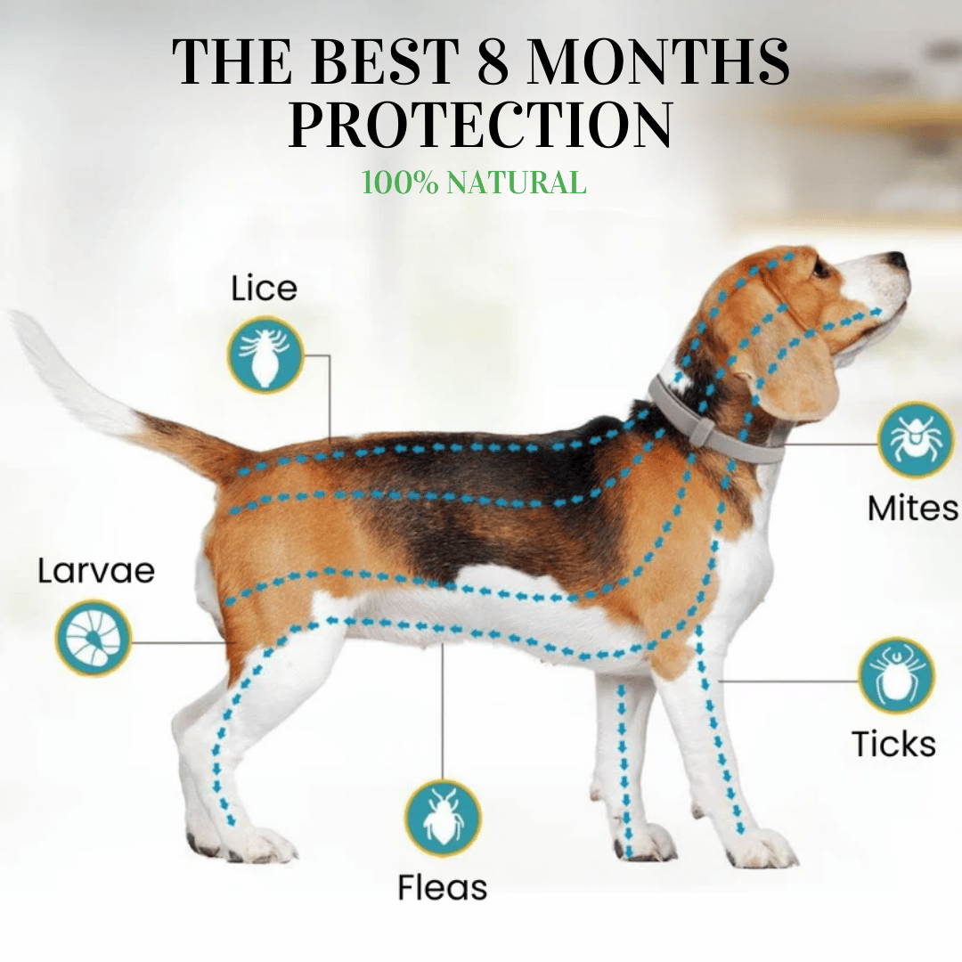 BIO-COLLAR⢠8+ Months Protection against Flea & Tick